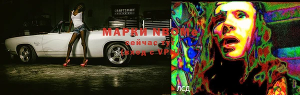 индика Алзамай