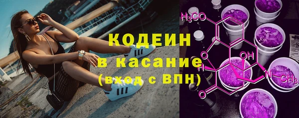 индика Алзамай