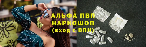 индика Алзамай