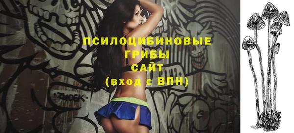 кокс Алексин