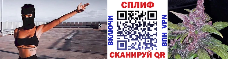 где продают наркотики  Ельня  Бошки Шишки сатива 